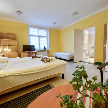 Homestay Pod Starymi Lipami *