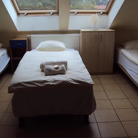 Pod Starymi Lipami Homestay *