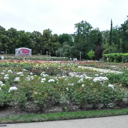 Homestay Pod Starymi Lipami Szczecin