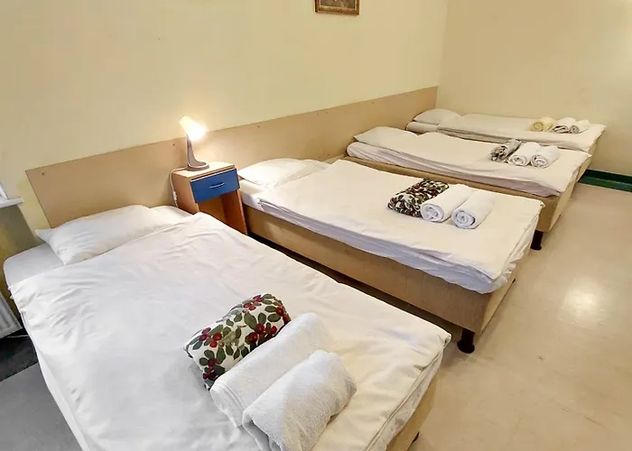 ホームステイ Pod Starymi Lipami