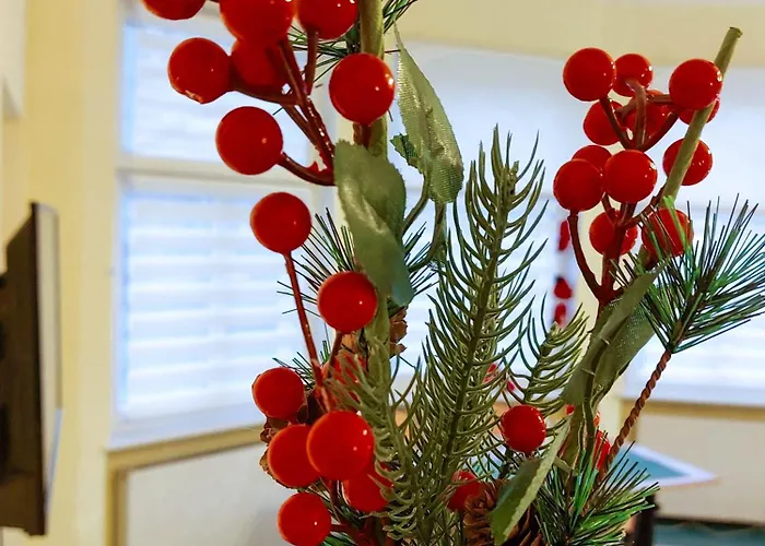 Accommodatie bij particulieren Pod Starymi Lipami Szczecin