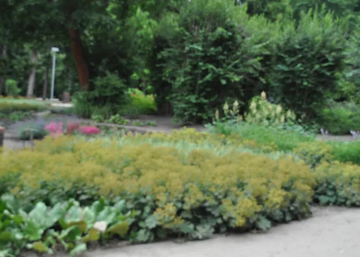 ホームステイ Pod Starymi Lipami *