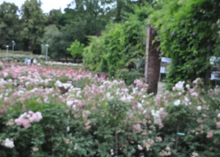 Pod Starymi Lipami Accommodatie bij particulieren