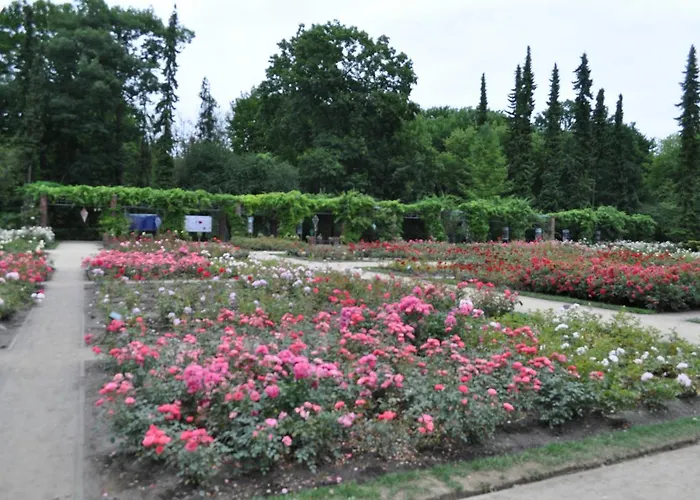 ホームステイ Pod Starymi Lipami