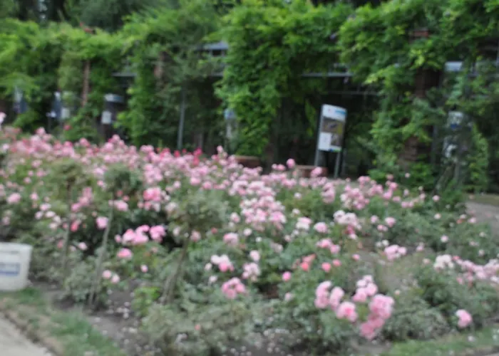 ホームステイ Pod Starymi Lipami