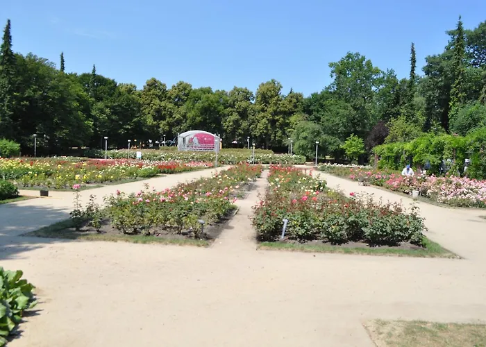 ホームステイ Pod Starymi Lipami シュチェチン