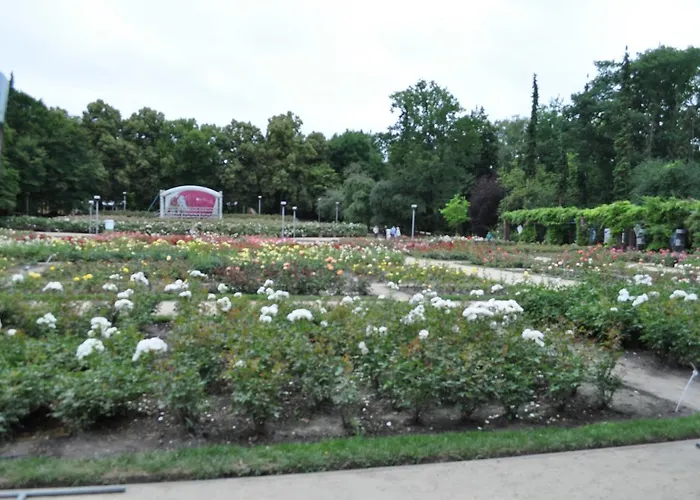 ホームステイ Pod Starymi Lipami シュチェチン